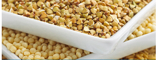 Catálogo de Básculas