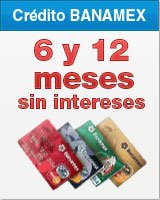 6 y 12 Meses con Banamex